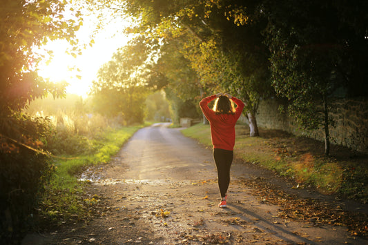 The Menopause and how FIREBIRD can help