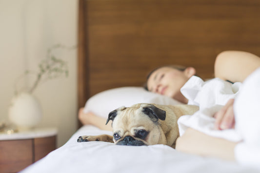 Why is sleep your best beauty treatment?