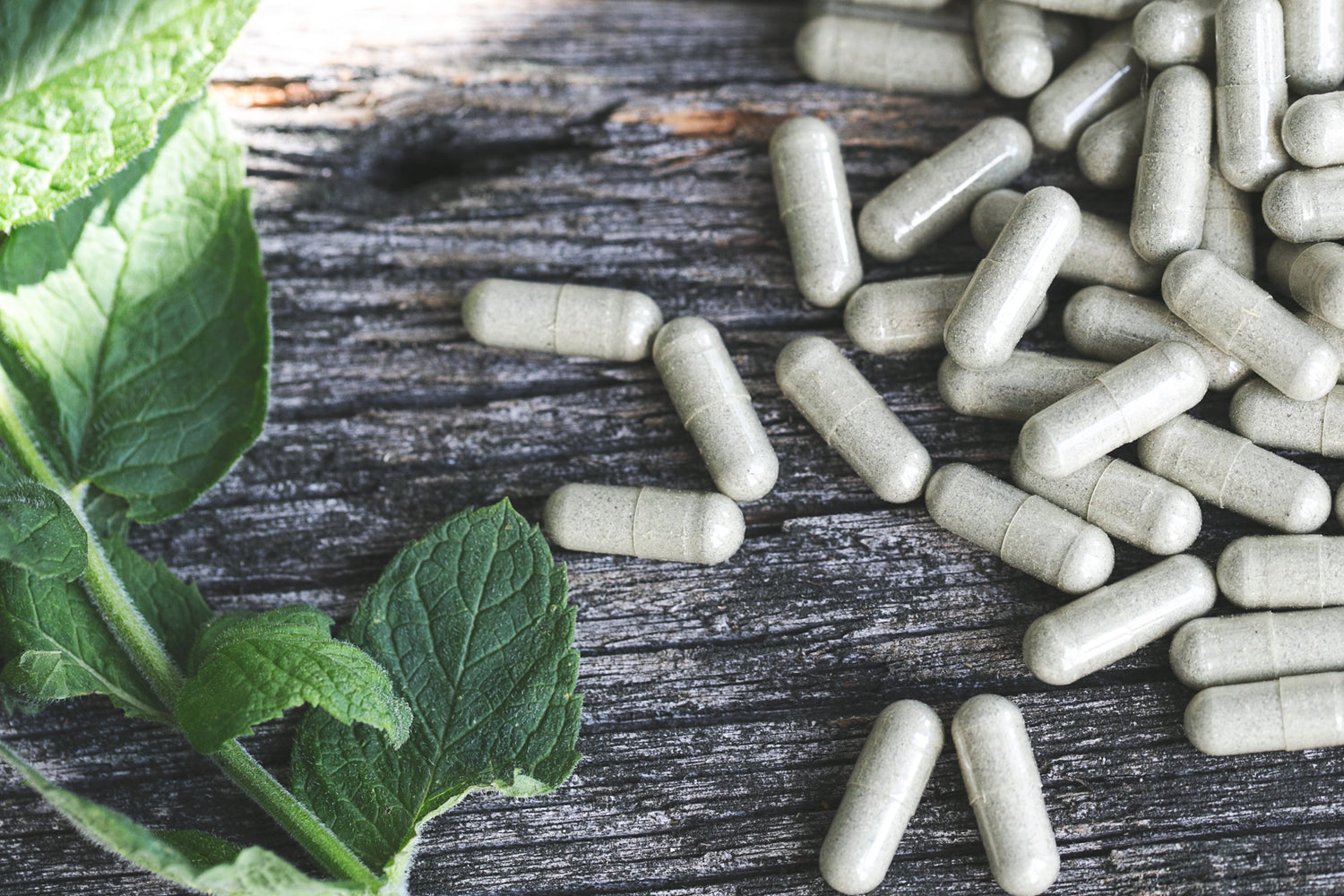 supplements hard capsules natural