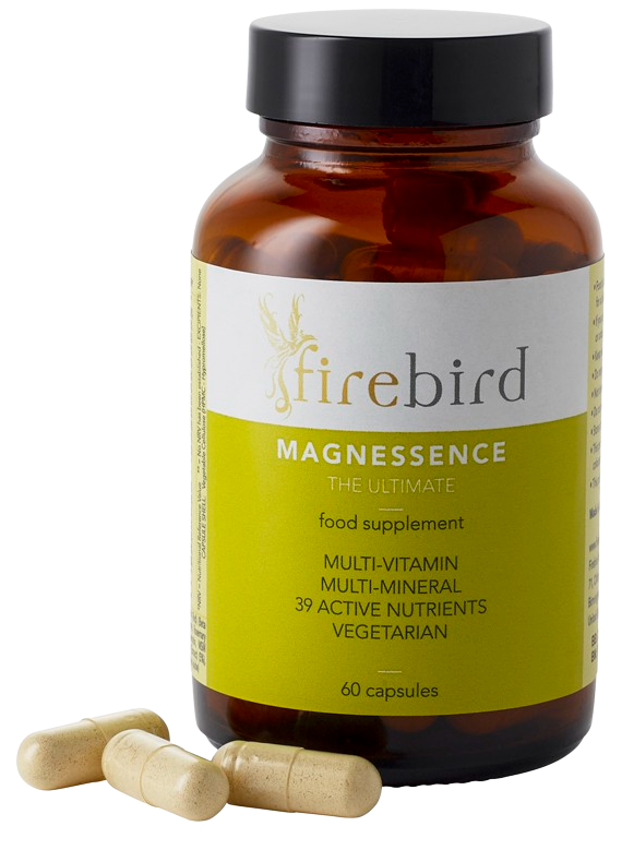 Magnessence is the ultimate supplement. It covers all vitamin and mineral daily requirements and is packed with plant extracts in its unique 39-ingredient formula, including turmeric, resveratrol, chlorella, astragalus, alfalfa and beetroot